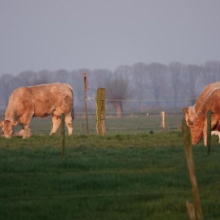 B&B Bij Bronckhorst Steenderen Eksteriør billede