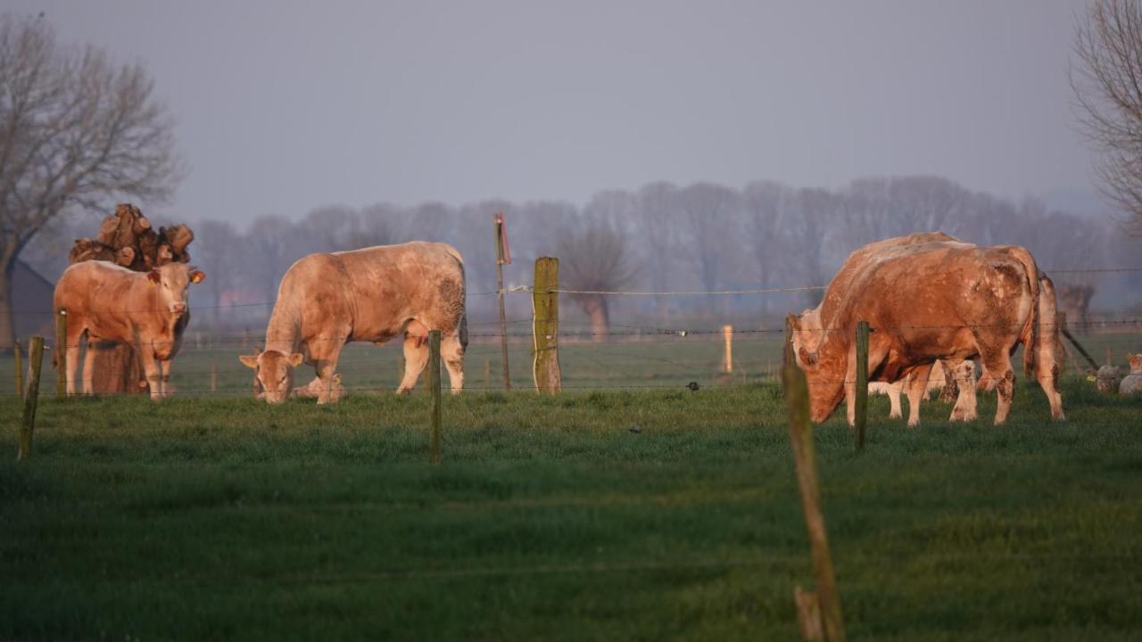 B&B Bij Bronckhorst Steenderen Eksteriør billede